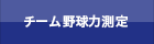 チーム野球力測定
